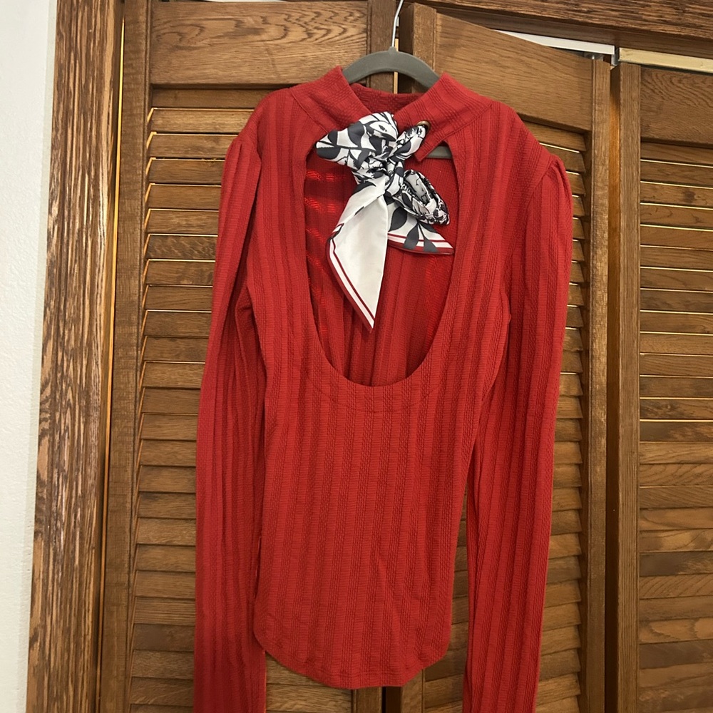 Free People Scarlet Long Sleeve Top